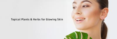 Topical Plants & Herbs for Glowing Skin